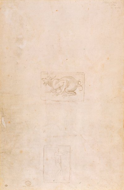 W.54 Studie eines Drachen von Michelangelo Buonarroti